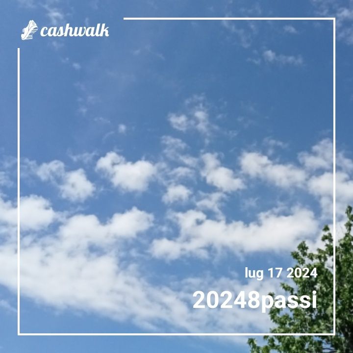 1000004912.jpg_resize