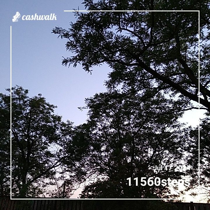 CashWalk_share_capture_20240717_6183fb84-3592-409b-8151-a1d6b3a7