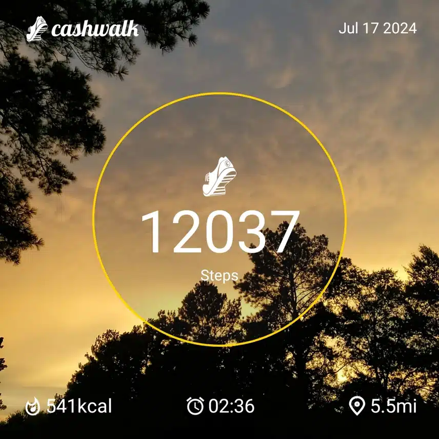 CashWalk_share_capture_20240717_74bd6d5f-09f2-4fdb-b62d-7be2c6c8