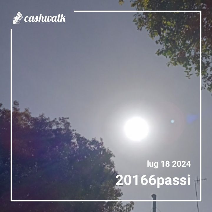 1000004923.jpg_resize
