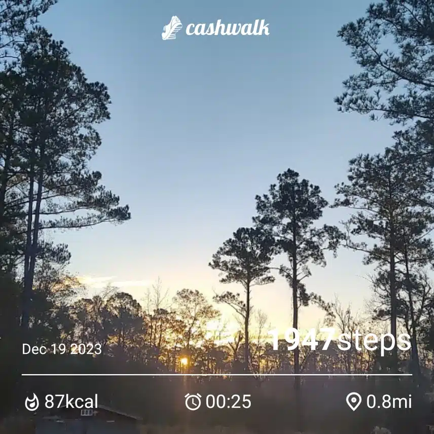 CashWalk_share_capture_20231219_a20a54c9-115b-4826-a22c-96b4c389