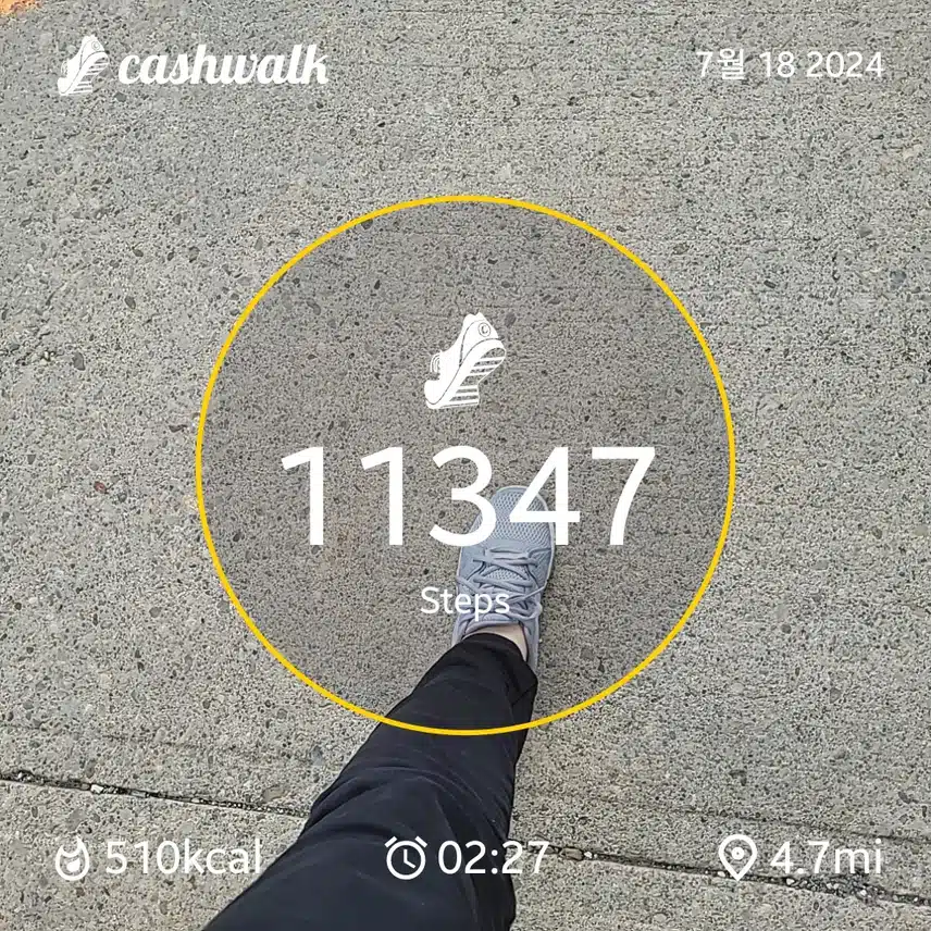 CashWalk_share_capture_20240718_afeffb24-8de3-4dc1-96fa-e4ea99cb