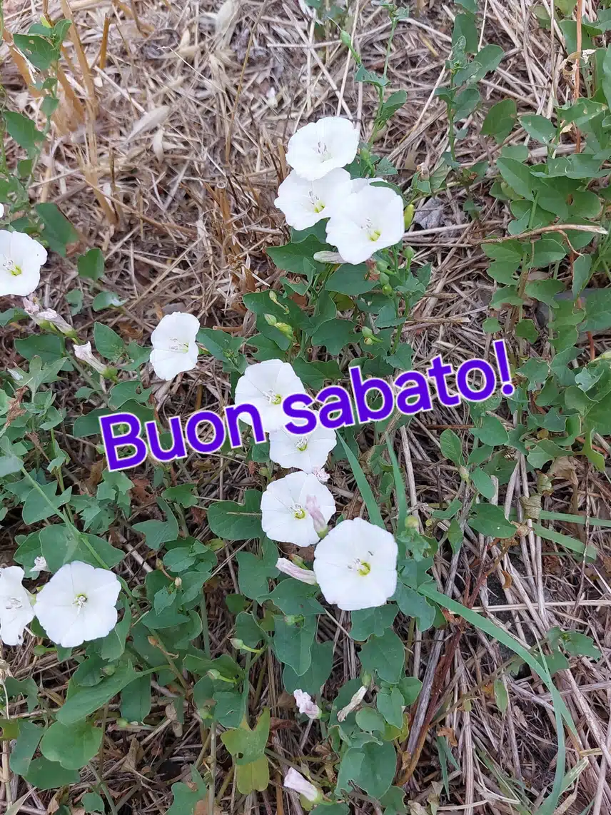 1000066858.jpg_resize