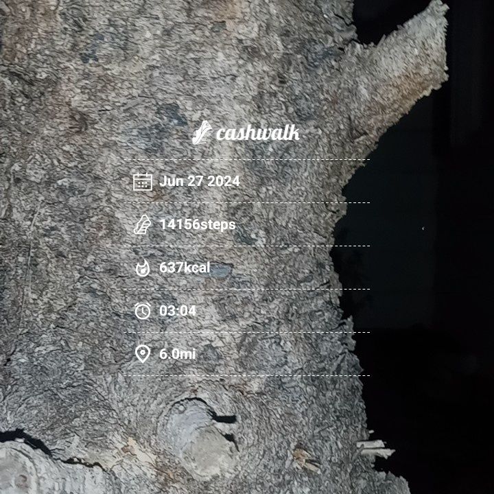 CashWalk_share_capture_20240627_b80abc98-847a-4d7f-a60d-bc8dca7c