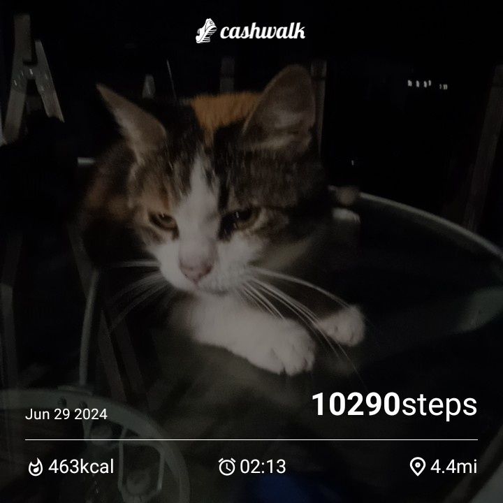 CashWalk_share_capture_20240629_ae403d6a-2c64-4d10-b8c3-632edd7f