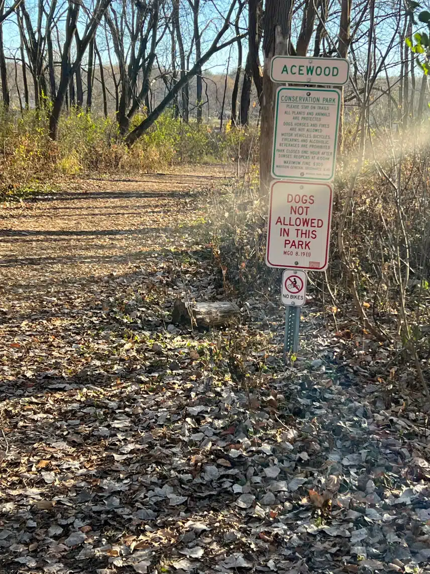 IMG_0687.jpeg_resize