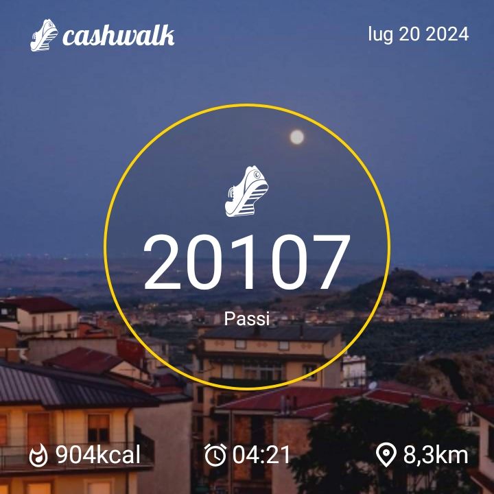 1000020896.jpg