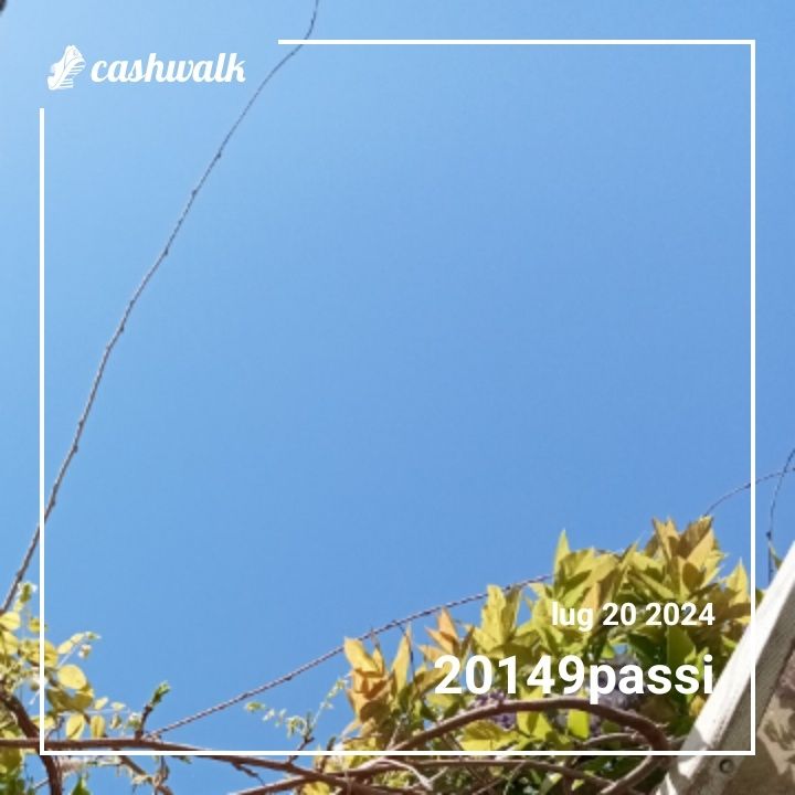 1000004945.jpg_resize