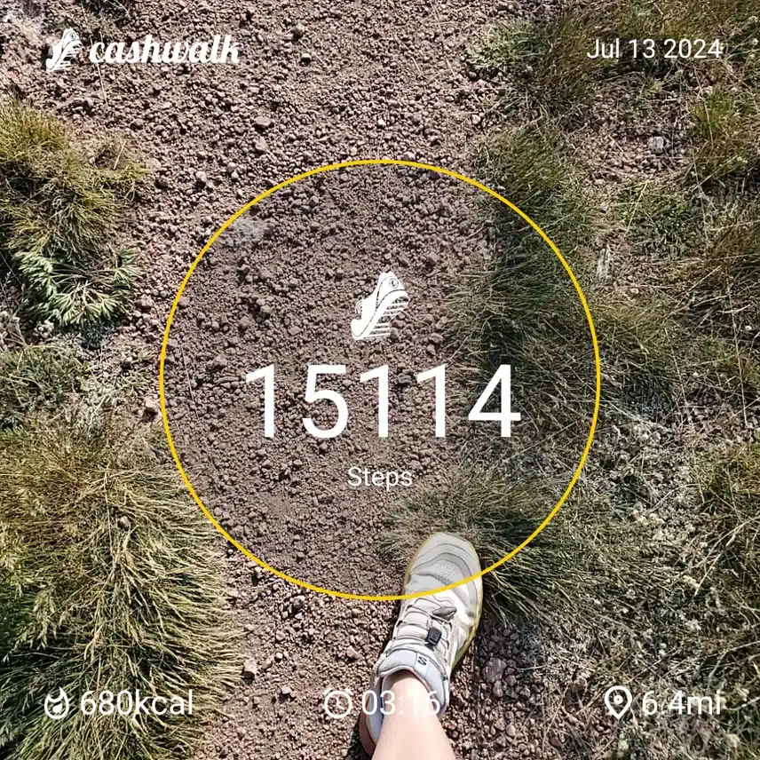 CashWalk_share_capture_20240713_70ec5d83-2e79-4ff2-8443-6bd761d3