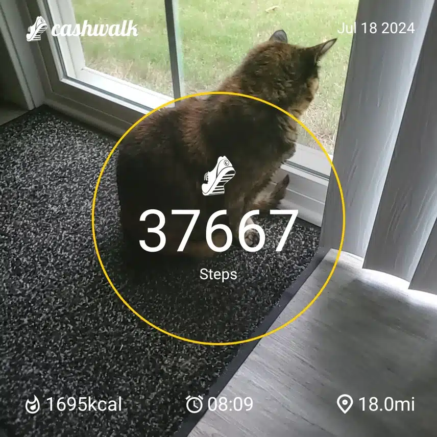 CashWalk_share_capture_20240718_f5ee81f1-d0b4-45ae-87e7-bf2151ee