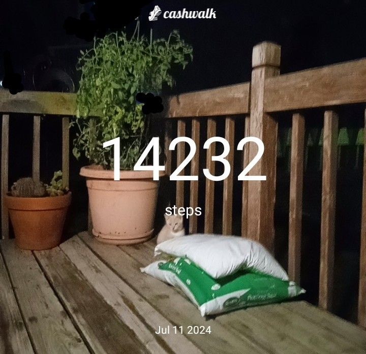 1000005508.jpg_resize