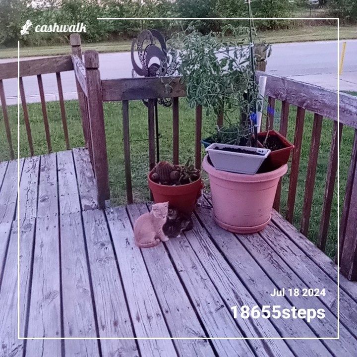 1000005500.jpg_resize