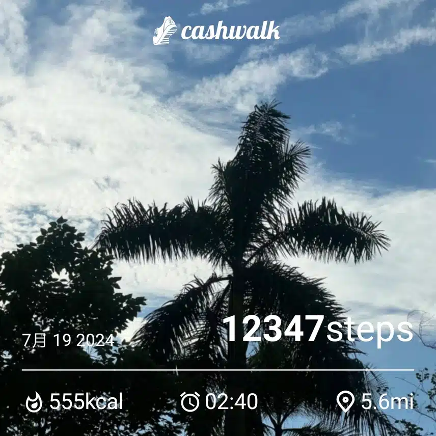 CashWalk_share_capture_20240719_8a24fe54-ad5d-4d80-aea6-9da7563d