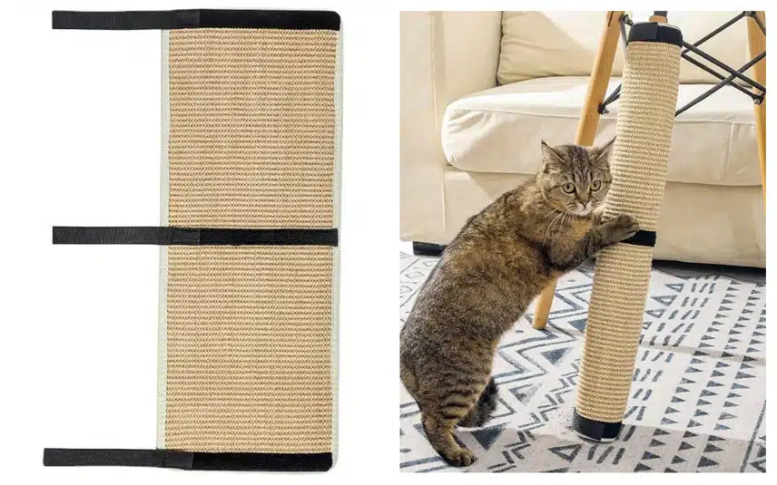 1000052848.jpg_resize