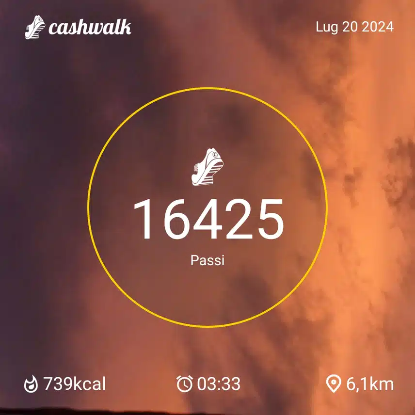 1000035312.jpg