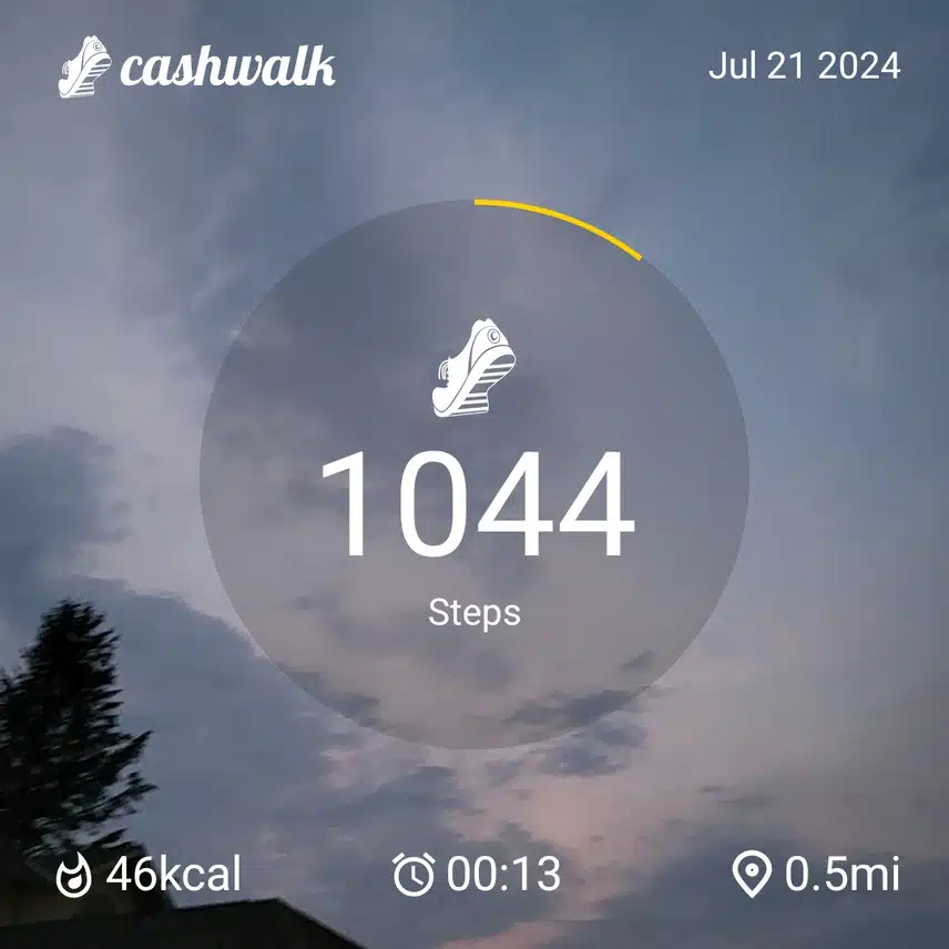 1000009203.jpg