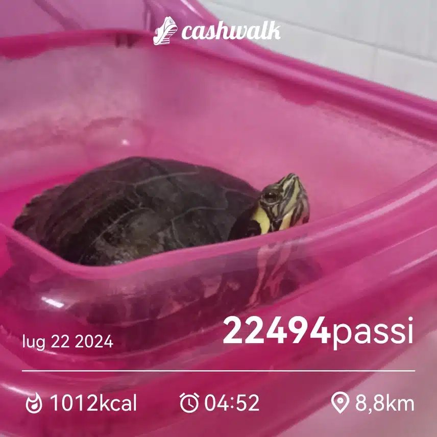 CashWalk_share_capture_20240722_181f1527-7d32-4348-bd7c-dbe4b097