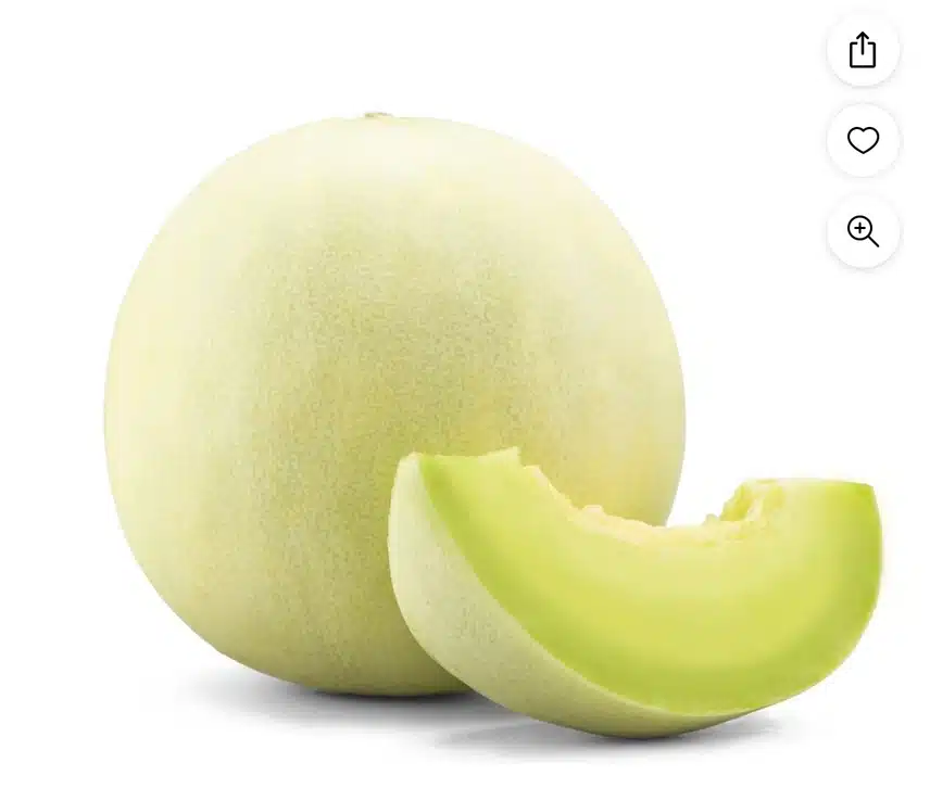 IMG_1231.jpeg_resize