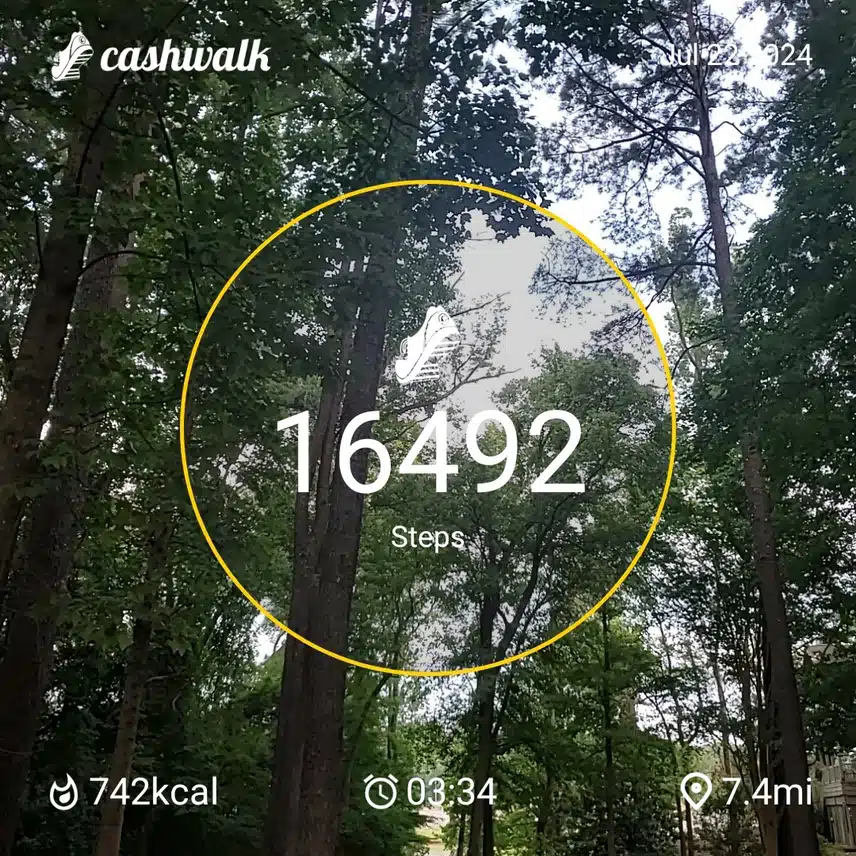 CashWalk_share_capture_20240722_d4539dea-4748-412c-813c-b3ddd78d
