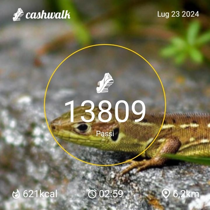 CashWalk_share_capture_20240723_12695961-5c8b-43df-83a9-3b51564a