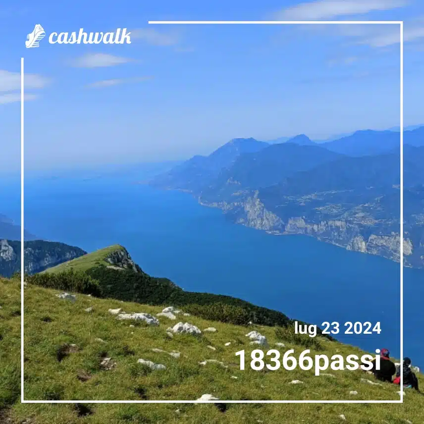 CashWalk_share_capture_20240723_72e6982f-2321-4481-b178-c95857fd