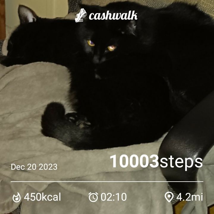 CashWalk_share_capture_20231220_5ac922f7-8398-49aa-827a-95f3d57a
