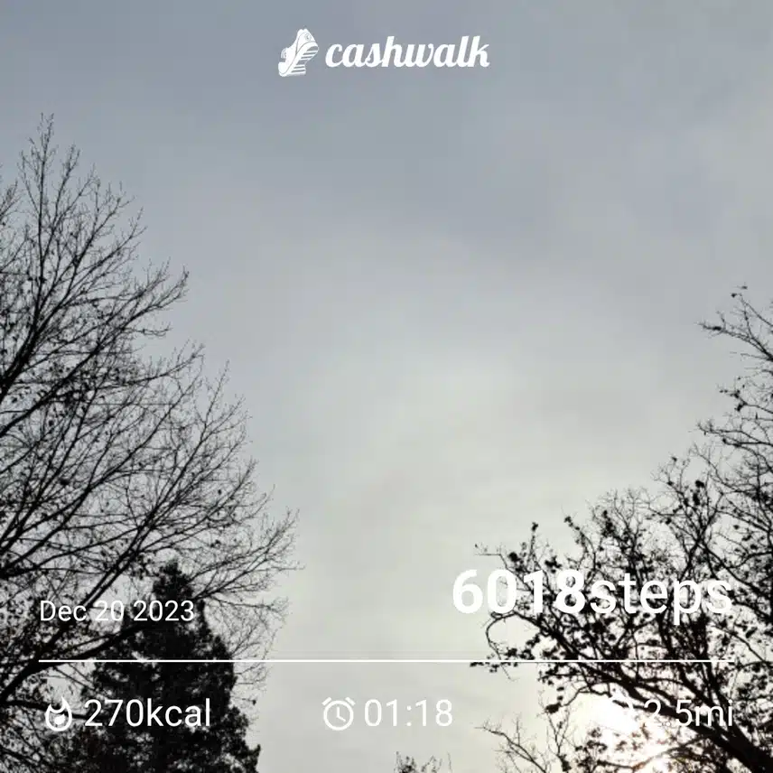 1000004544.jpg_resize