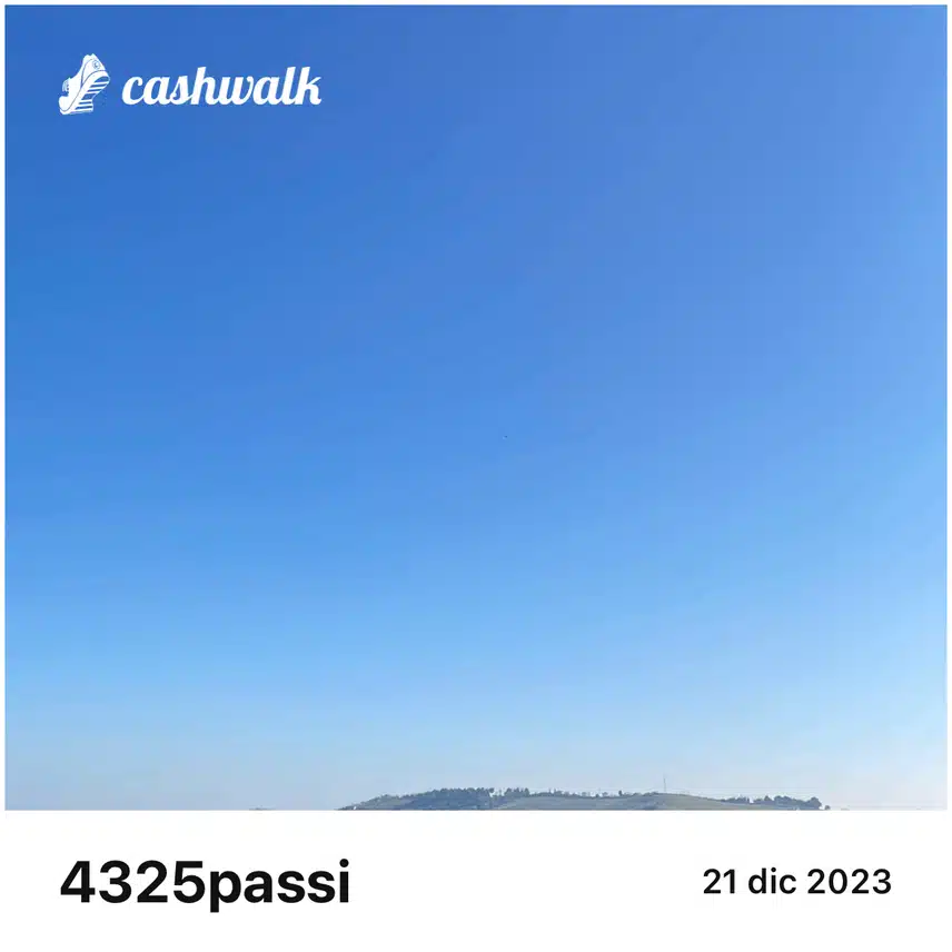 Immagine PNG.png_resize