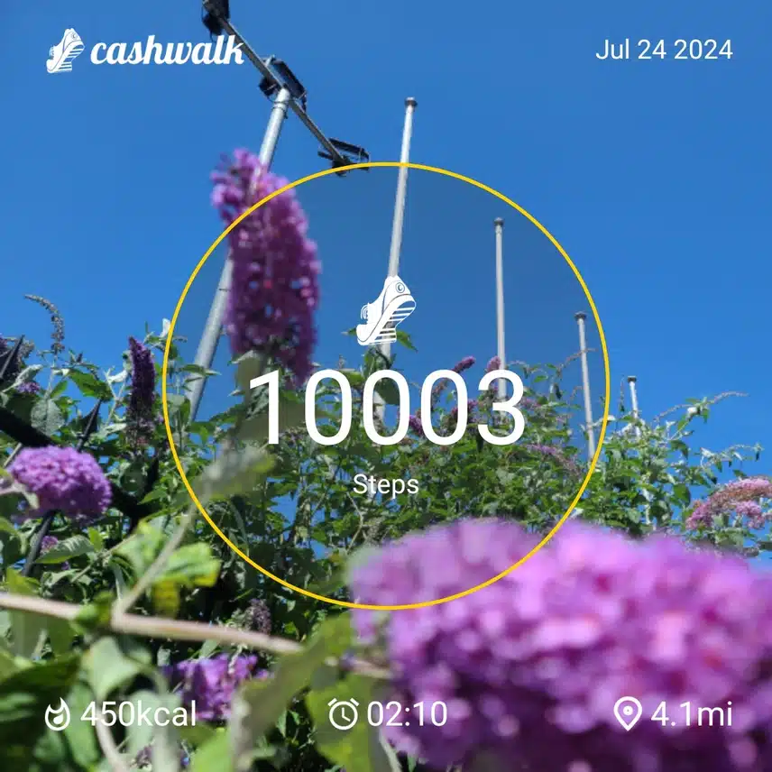 CashWalk_share_capture_20240724_8b9e08b8-34bd-4301-8ca5-8b9764d9
