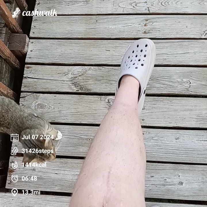 CashWalk_share_capture_20240707_f9f1997d-7c6d-44b3-aa81-4a805c86