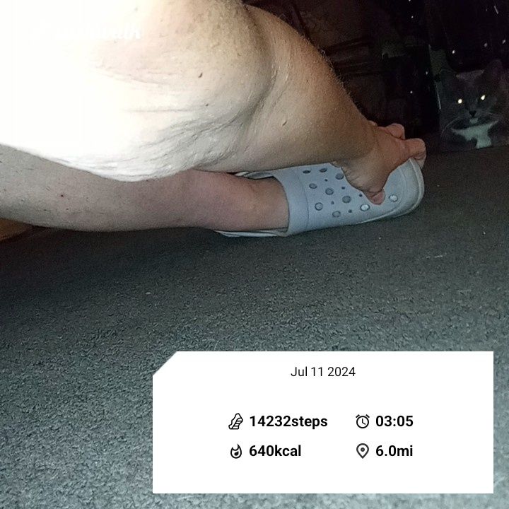 CashWalk_share_capture_20240711_05b9e3ca-c26d-4a2b-968b-d7d340c5