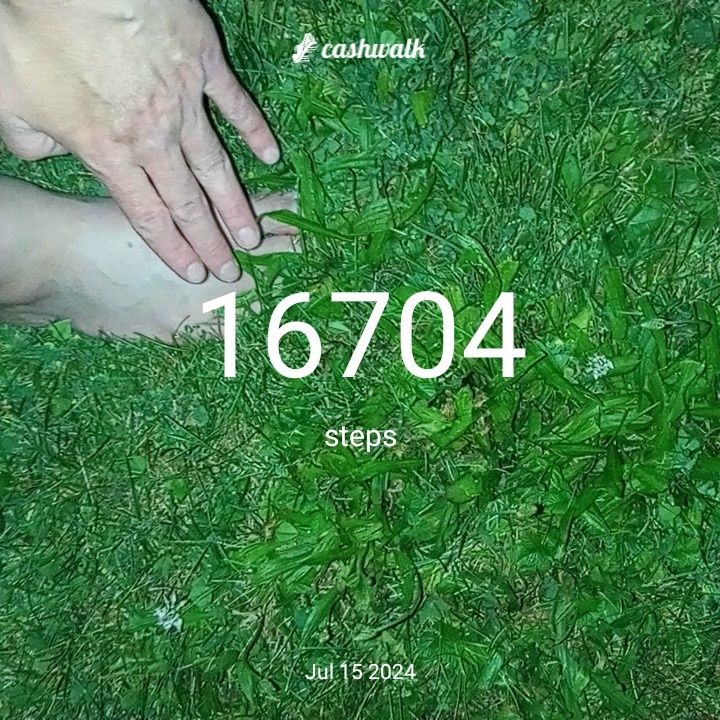 1000005460.jpg_resize