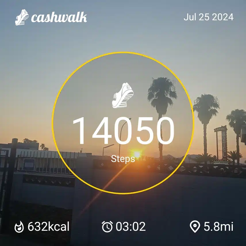 1000003153.jpg_resize