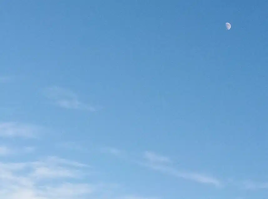 1000000873.jpg_resize