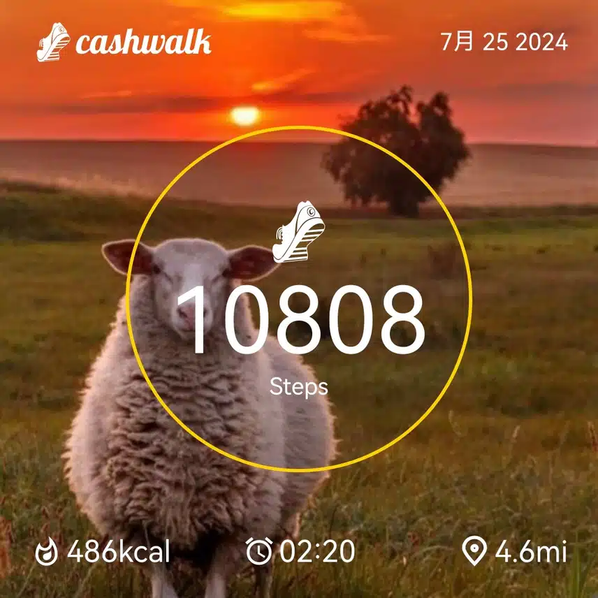 CashWalk_share_capture_20240725_e43f8ad9-9253-491b-86da-821e6d09
