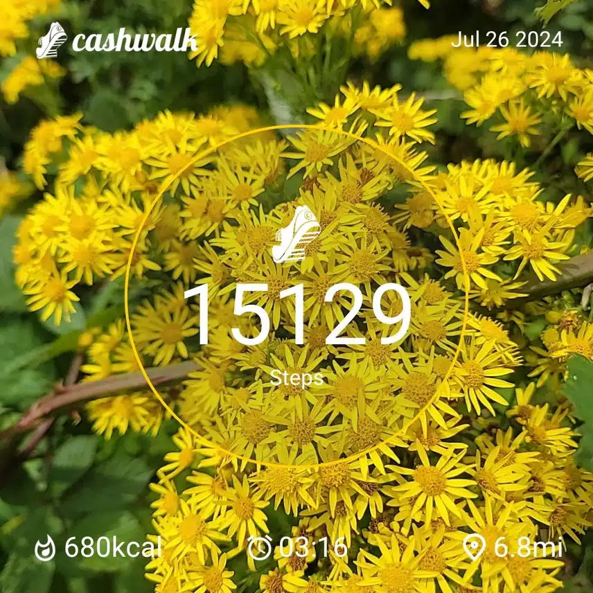 1000137398.jpg_resize