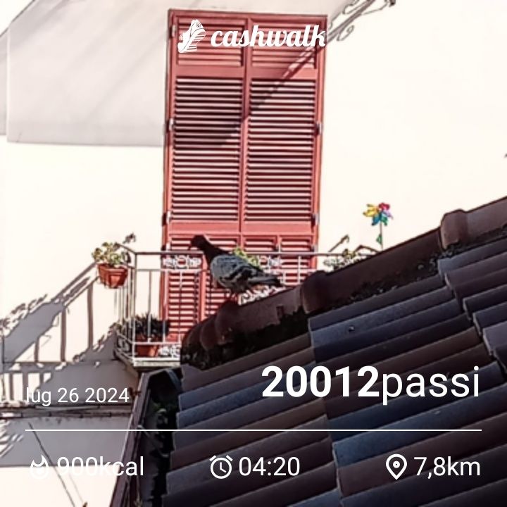 CashWalk_share_capture_20240726_c0fa3d58-9cb2-4a10-bcd0-93a89600