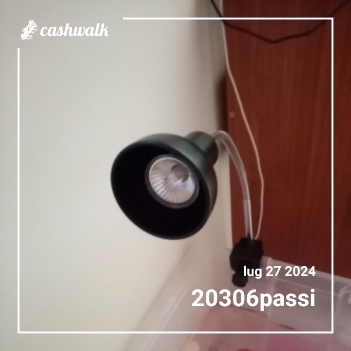 CashWalk_share_capture_20240727_5f5a9bd5-61c0-4108-9ce9-46105219
