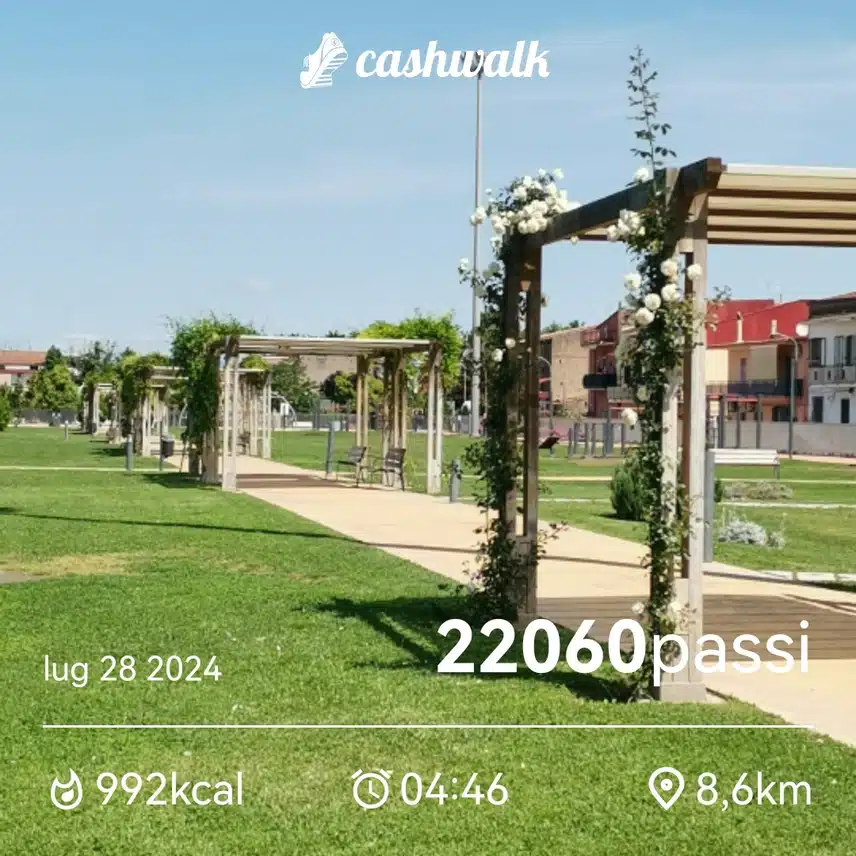 CashWalk_share_capture_20240728_c15b95c2-8d3c-46d8-ad90-58637ead