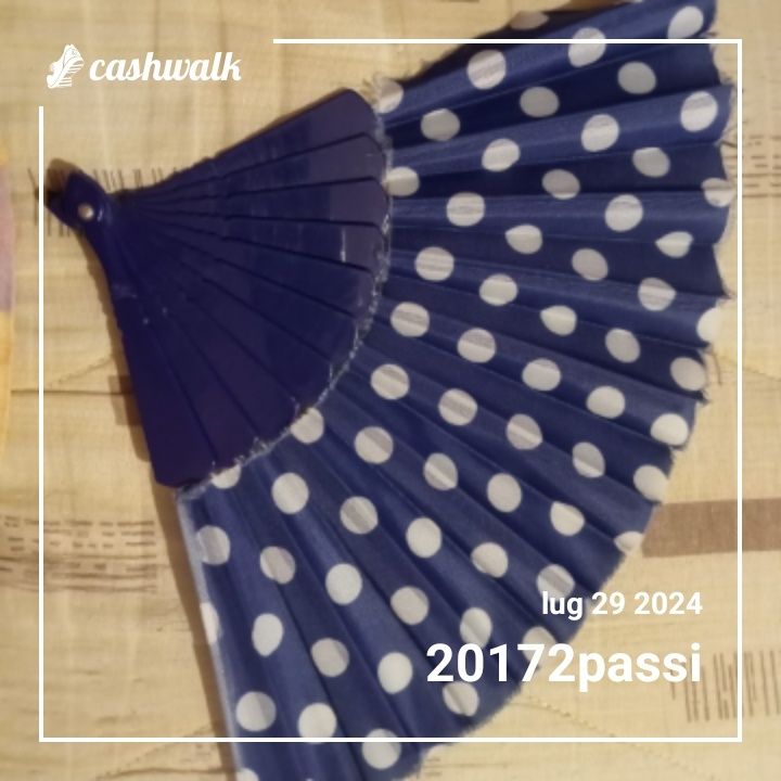 1000005086.jpg_resize
