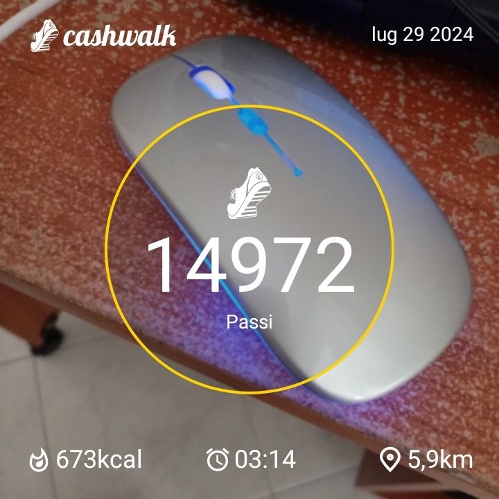 CashWalk_share_capture_20240729_ad68e38b-1570-4a88-97fe-3af5b7d6