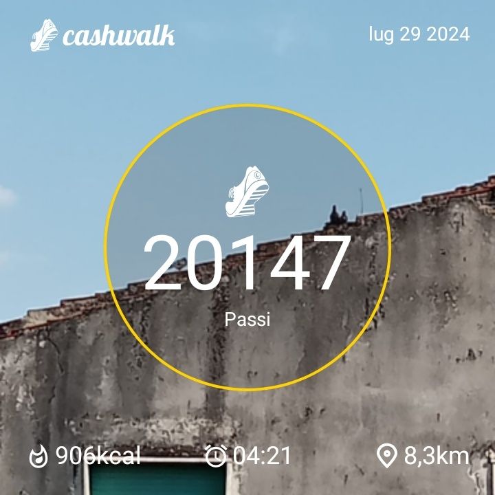 1000021291.jpg_resize