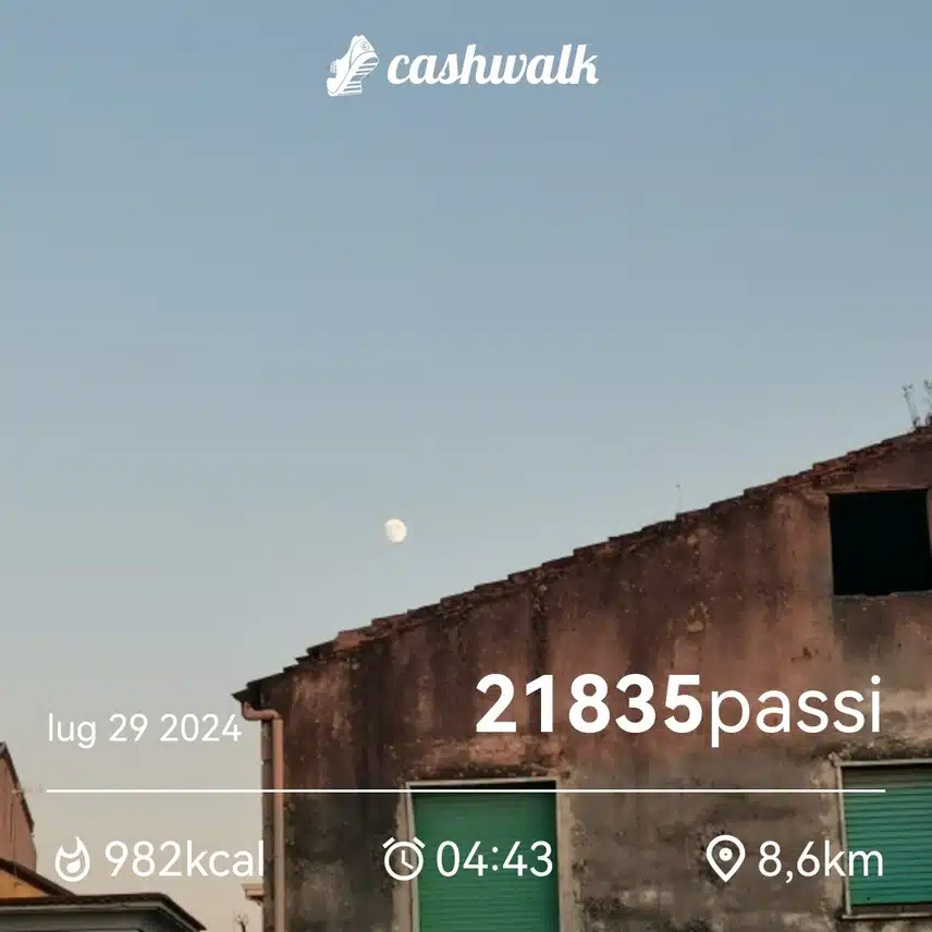 CashWalk_share_capture_20240729_3be0be9f-d090-4855-adc5-a1715543