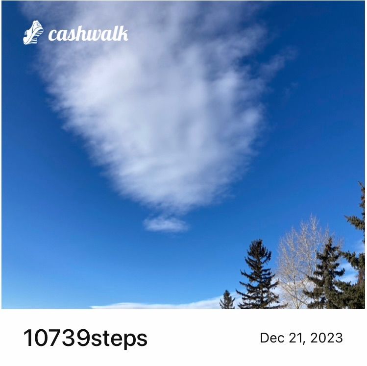 2858F363-52F0-4DBC-B8DB-F10B8B2FB4FB.jpeg_resize