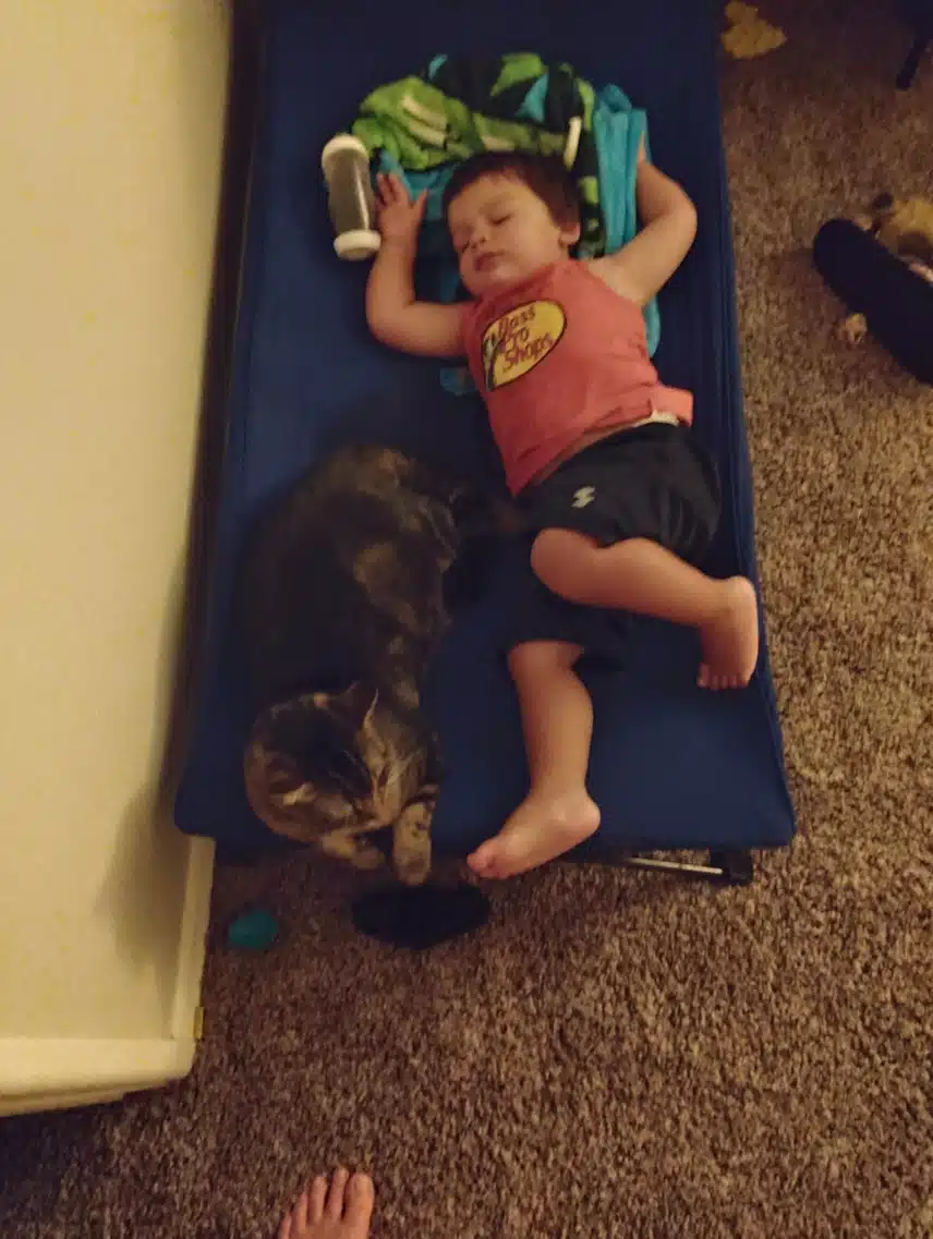 1000000260.jpg_resize