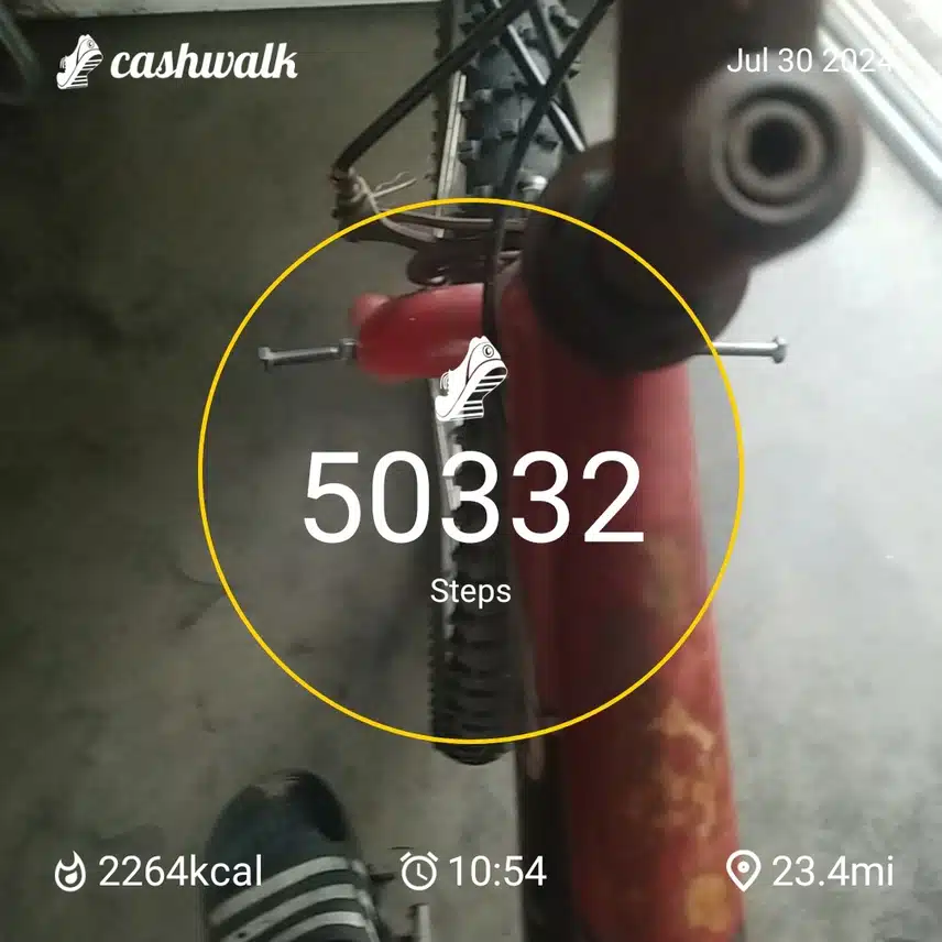 CashWalk_share_capture_20240730_74f3cf06-5376-4076-ba94-77395cc6