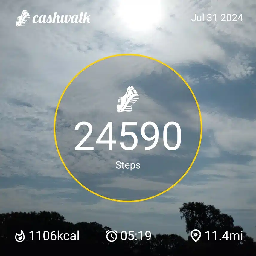 1000008808.jpg_resize