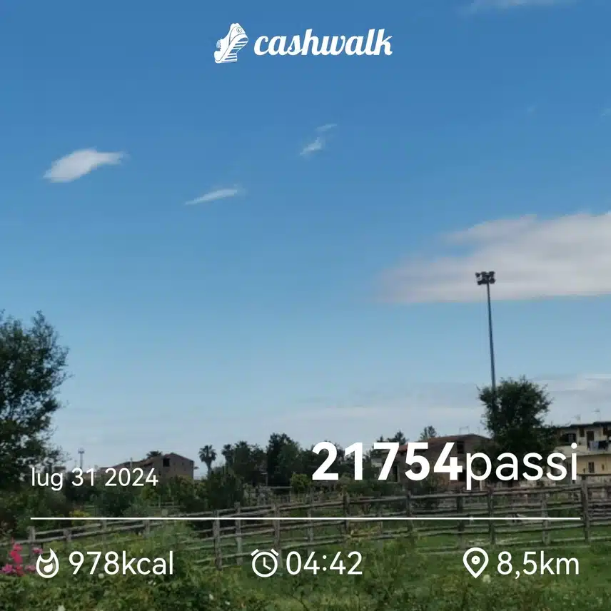 CashWalk_share_capture_20240731_7a660850-192a-4272-8864-910d31a0