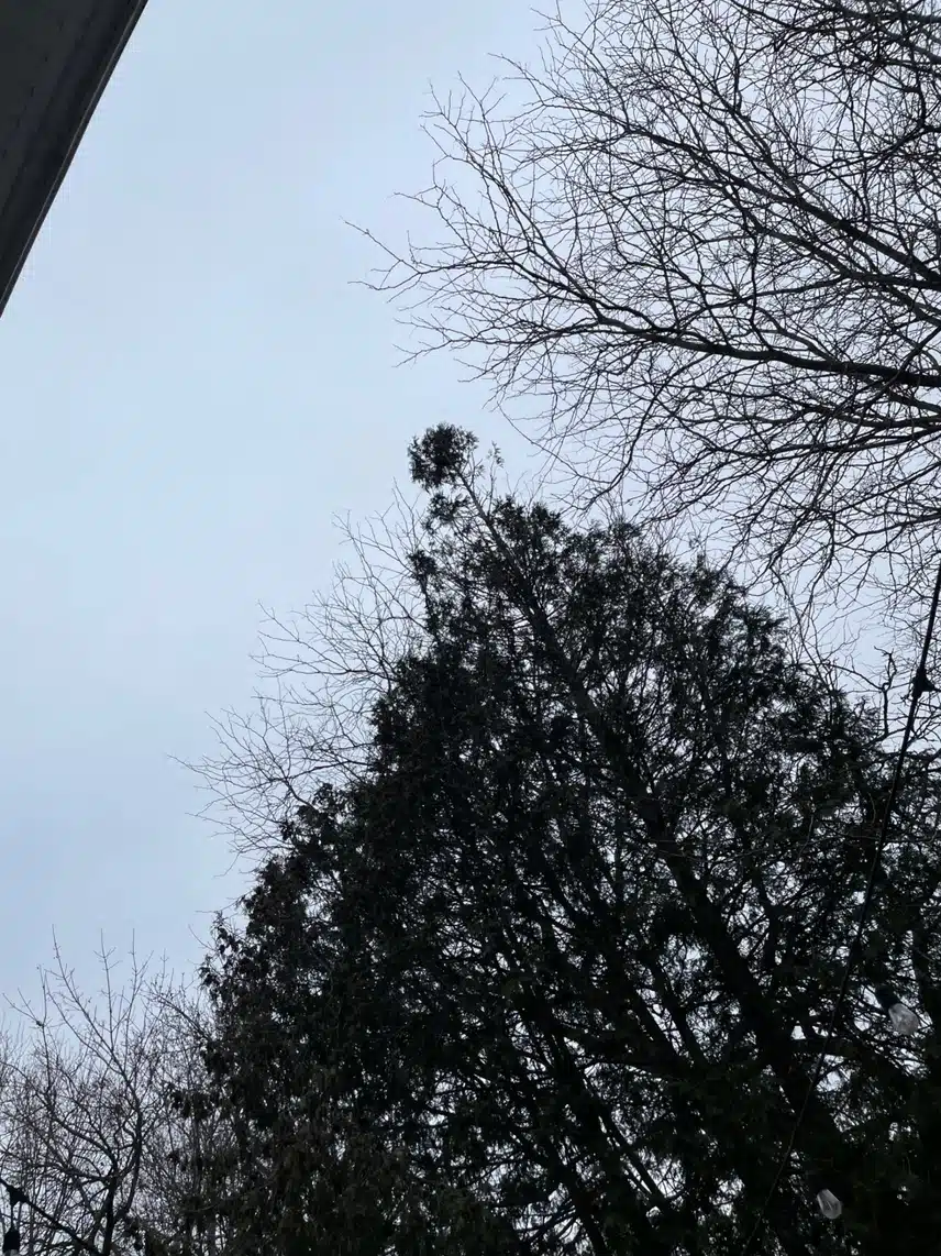 IMG_1994.jpeg_resize