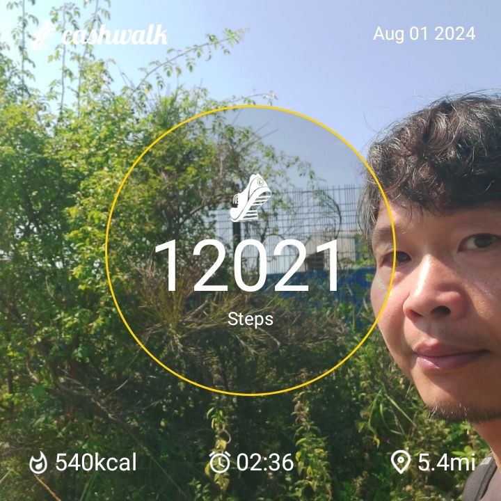 CashWalk_share_capture_20240801_5f370912-861d-44b8-9632-1ff448e6